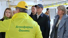 1 млрд рублей инвестиций направят в расширение птицеводческого комплекса в Удмуртии