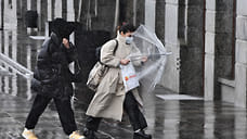 Мокрый снег и дожди ожидаются во второй половине недели в Удмуртии