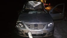 Водитель и пассажир автомобиля в Удмуртии пострадали в результате наезда на лося