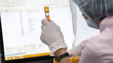 13 жителей Удмуртии скончались от коронавируса