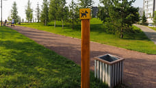 Еще две площадки для выгула собака появились в столице Удмуртии