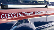 СК начал доследственную проверку сообщения об истязании детей в гимназии села Красногорское