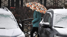 Мокрый снег и дожди ожидаются на этой неделе в Удмуртии