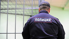 Жителя Удмуртии осудили за призывы к экстремизму в интернете