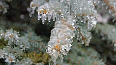 Туман, усиление ветра и ледяной дождь ожидаются 4 декабря в Удмуртии