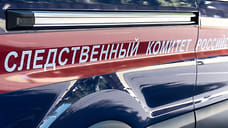 СК начал проверку по факту обнаружения в лесопосадке в Ижевске 11-летнего ребенка с признаками переохлаждения