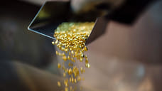 Компания бизнесмена из Удмуртии Алексея Чулкина купила золотые россыпи на Чукотке