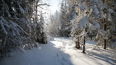 19 марта в Удмуртии ожидается солнечная погода и до +4°С