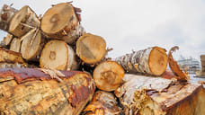 Из Удмуртии экспортировали более 2 тысяч кубометров лесоматериалов в Узбекистан