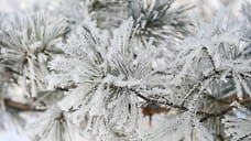 Ветреная и снежная погода ожидается в предстоящие выходные в Удмуртии