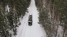 Директора компании Пермского края в Удмуртии осудили за контрабанду лесоматериалов через таможенную границу