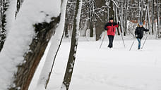 В Ижевске обсудили концепции благоустройства Холмогоровского леса