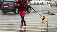 Пешеходный переход появится на улице Михаила Петрова в Ижевске