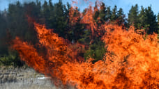 Пик природных пожаров в Удмуртии наступит в майские праздники