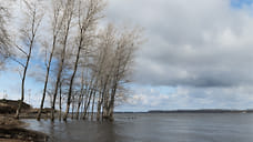 Уровень воды в реках на севере Удмуртии продолжает повышаться