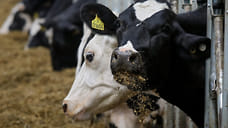 Объем экспорта продукции АПК Удмуртии составил больше 6 млн долларов в 2021 году