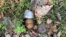 Две боевые гранаты и минометный снаряд обнаружили в Удмуртии