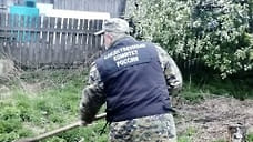 Тело убитого 45-летнего жителя Удмуртии обнаружили в огороде домовладения в поселке Ува