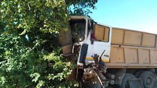 Водитель грузовика в Удмуртии погиб в результате наезда на дерево