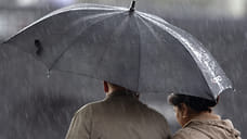 Дожди и до -1°С ночью ожидается в Удмуртии в эти выходные