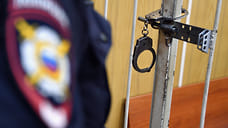 В Удмуртии осудили бросившего о забор соседскую кошку мужчину