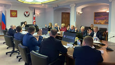 Светлану Пальчик избрали председателем Центризбиркома Удмуртии