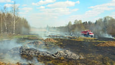 Ландшафтный пожар произошел у деревни Вари в Удмуртии