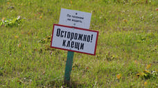 734 жителя Удмуртии пострадали от укусов клещей