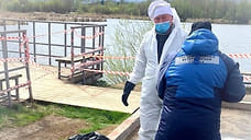 Ситуация по высокопатогенному гриппу птиц в Удмуртии остается напряженной
