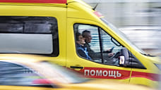 40 жителей Удмуртии заболели мышиной лихорадкой с начала 2023 года