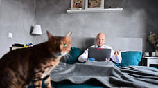 Жители Ижевска оценивают свой коэффициент полезного действия на работе на 77%