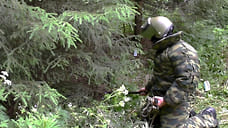 Артиллерийский снаряд обнаружил житель деревни в Удмуртии в своем огороде