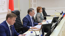 Госсовет продлил льготы по УСН для бизнеса при перерегистрации в Удмуртии
