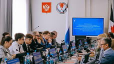 Больше 400 первичных отеделений «Движения первых» создали в Удмуртии