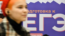 Девять школьников в Удмуртии сдали ЕГЭ по информатике на 100 баллов