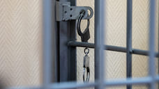 Жителя Удмуртии будут судить за хищение 3,5 млн рублей на спортивных ставках