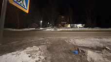 В Удмуртии отправили в колонию водителя, насмерть сбившего мальчика