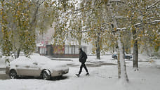 Снег и до +4°С днем ожидается в Удмуртии в выходные