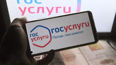 В Удмуртии выявили новый вид мошенничества со взломом аккаунтов на «Госуслугах»