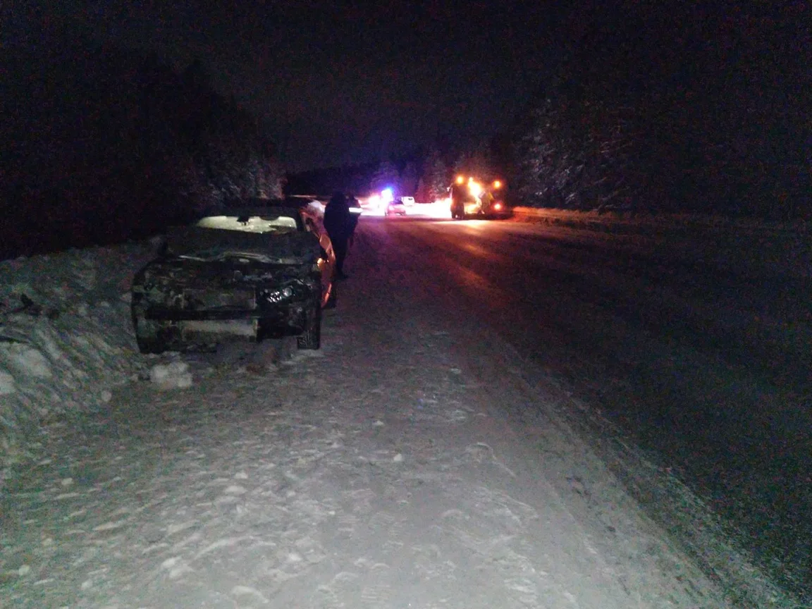 Выбежавший на дорогу лось стал причиной аварии в Завьяловском районе  Удмуртии – Коммерсантъ Ижевск