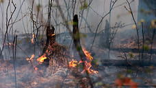 Почти 200 человек готовы ликвидировать лесные пожары в Удмуртии