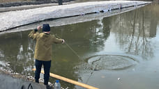 Гибель рыбы зафиксировали в сквере оружейника Драгунова в Ижевске