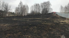 Почти 0,3 гектара травяного покрова сгорело в Завьяловском районе Удмуртии