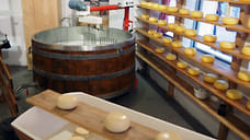 Почти 13 тысяч тонн сыров и творога произвели в Удмуртии за 1 квартал 2024 года