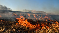 20 пожаров случились в Удмуртии за прошедшие сутки