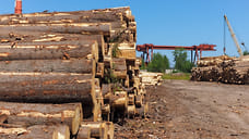 Экспорт лесопродукции из Удмуртии в Китай вырос в 9 раз с начала 2024 года