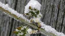 Снег и дождь ожидаются в Удмуртии