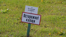 В Ижевске возобновилась обработка зеленых территорий от клещей