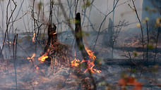 Пожароопасность лесов и торфяников Удмуртии поднялась до чрезвычайного уровня