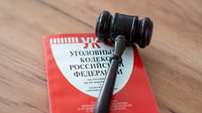 Директору коммерческой организации в Удмуртии грозит срок за мошенничество